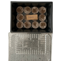 Seed to Seedling Grow Kit