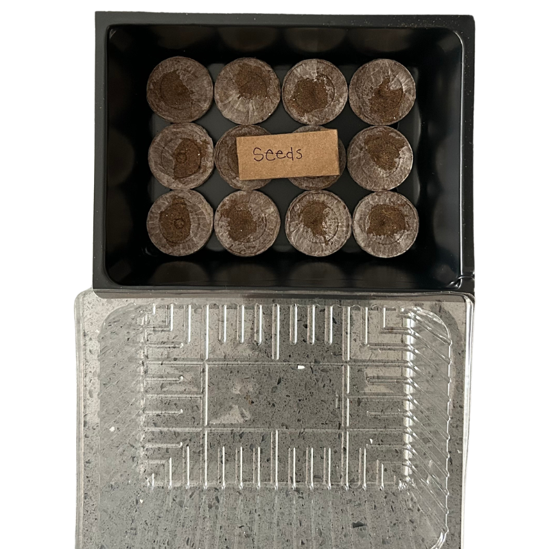 Seed to Seedling Grow Kit